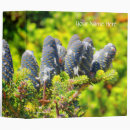 Search for korean office supplies Blue