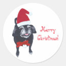 Recherche de de carlin autocollants Noël