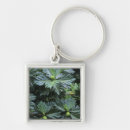 Search for south pacific keychains Tropical