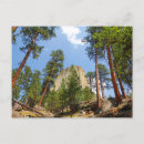 Search for devils tower national monument postcards Devil's