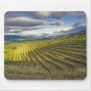 Recherche de vignoble tapis souris Viticulture