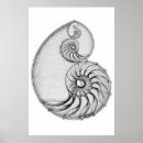 Recherche de nautilus posters Rapport d'or