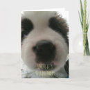 Search for puppy nose cards Puppies