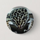 Recherche de gecko badges Lézard