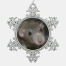 Search for rat ornaments Animal