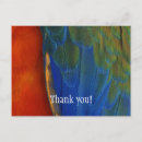 Search for macaw parrot postcards Hyacinth