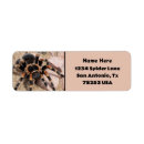 Search for arachnid return address labels Scary
