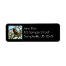 Search for hawk return address labels Nature