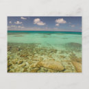 Recherche de bibikow de walter Plage