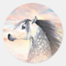 Search for appaloosas stickers Animal