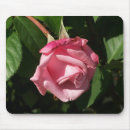 Search for dreamed mousepads Nature