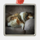 Recherche de colley ornements Rugueux