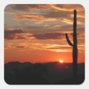 Search for made in arizona stickers Sunset