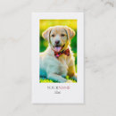 Search for pet shop business cards Dog