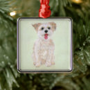Search for morkie dog ornaments Maltese
