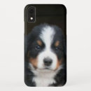 Search for bernese iphone cases Puppy