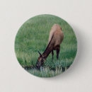 Search for elks buttons Nature