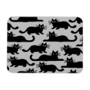 Recherche de chats magnets Animaux de compagnie