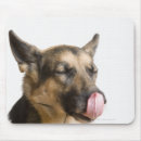 Search for noses mousepads Close up