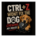 Recherche de logiciel posters Développeur de logiciels