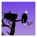 Search for balding art Portrait
