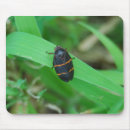 Recherche de insectes tapis souris Noir