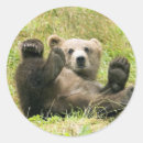 Search for kodiak bear stickers Wildlife