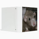 Search for ears binders Animal