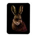 Search for hare kitchen accessories Animal