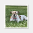 Recherche de russell serviettes Terrier
