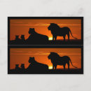 Recherche de lionne cartes postales Coucher de soleil