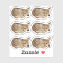 Search for deer drawing stickers Nature