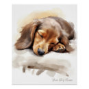Search for dachshund dog watercolor art Puppy