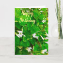 Search for shamrock birthday cards Ireland