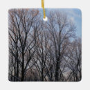 Recherche de paysage ornements Neige