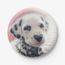 Search for valentines day party supplies Dalmation