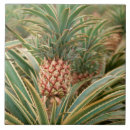 Recherche de ananas carreaux Vert