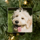 Search for mixed breed dog ornaments Cute