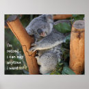 Search for koala bear posters Cute