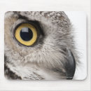 Recherche de hibou cornes tapis souris Photographie