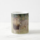 Recherche de lionne tasses Félin
