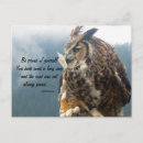 Search for birdwatcher horizontal postcards Birdwatching