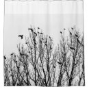 Search for tree birds shower curtains Black and white