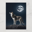 Search for moon shine postcards Night