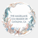 Search for starfish seals envelope seals Under the sea