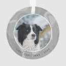 Search for border collie ornaments First christmas