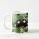 Search for lepidoptera mugs Insects