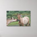 Search for horse canvas prints Wild west