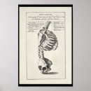 Recherche de squelettique art Os