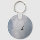 Search for tern Bird